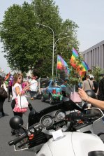 IMG_8156.jpg