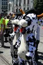 IMG_2693.JPG