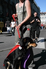 IMG_2984.JPG