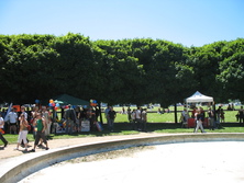 IMG_8129.JPG