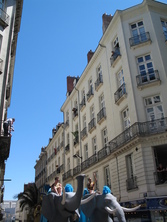 IMG_8184.JPG