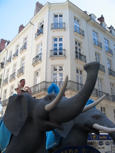 IMG_8185.JPG