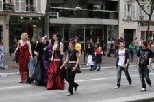 IMG_2781.jpg