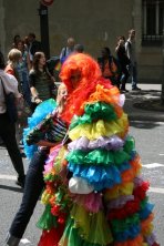IMG_8487.jpg
