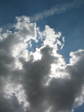 IMG_8478.JPG