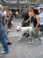 IMG_9824.JPG